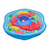 charmcm phase angle healthy cell