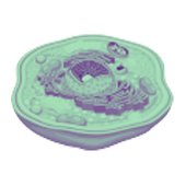 charmcm phase angle unhealthy cell