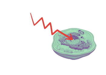 charmcm phase unhealthy cell frequency